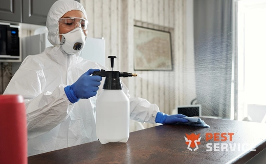 Дезинфекция в Братске