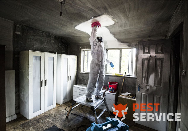 Профессиональная уборка помещений после пожара в Братске от 2500 руб: удаление сажи, копоти и запаха гари, глубокая очистка поверхностей и восстановление чистоты. Быстро, безопасно и эффективно.